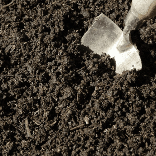 Baja Organik Selamat